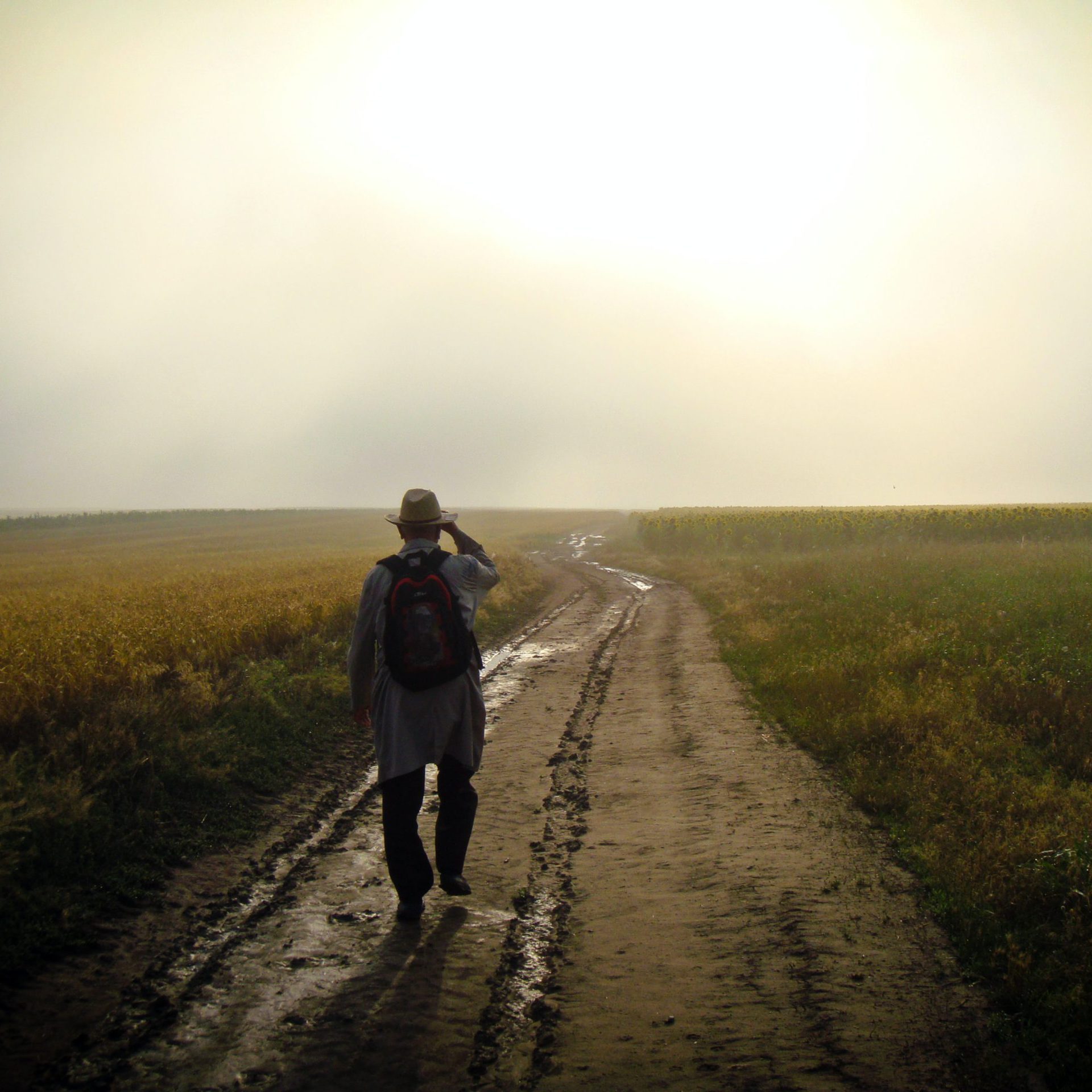david-marcu-14AOIsSRsPs-unsplash Vom Selbständigen zum Unternehmer